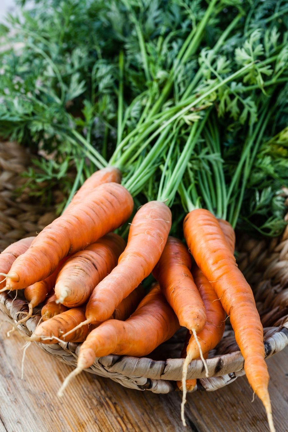 what-goes-well-with-carrots-a-nourishing-plate