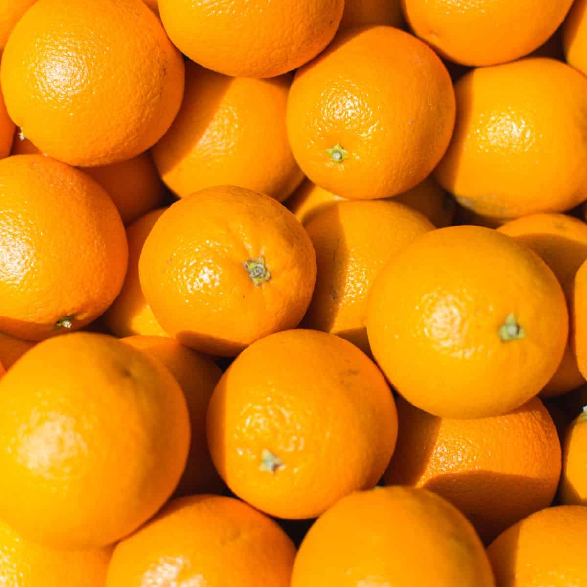 Mandarin and Navel Oranges