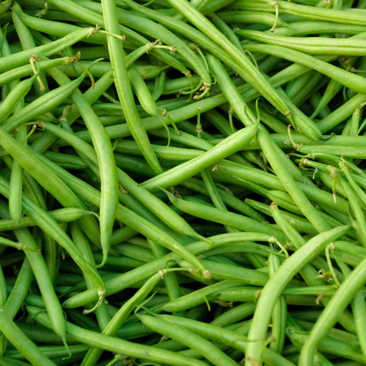 what-goes-with-green-beans-a-nourishing-plate